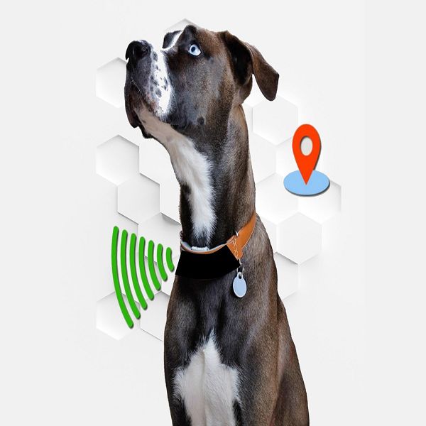 Collare localizzatore gps posizione cane gatto