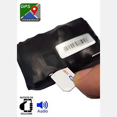 Localizzatore gps con ambientale